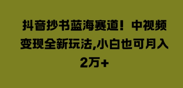 抖音抄书蓝海赛道，中视频变现全新玩法，小白也可月入2W+-猫抓网赚