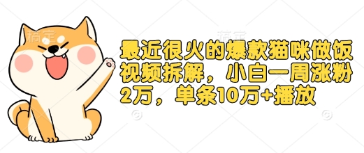 最近很火的爆款猫咪做饭视频拆解，小白一周涨粉2万，单条10万+播放(附保姆级教程)-猫抓网赚