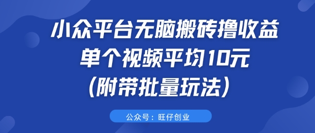 小众平台无脑搬砖撸收益 单个视频平均10元 (附带批量玩法)-猫抓网赚