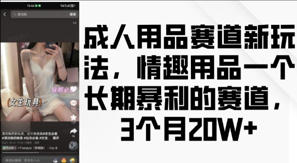 成人用品赛道新玩法，情趣用品一个长期暴利的赛道，3个月收益20个【揭秘】-猫抓网赚