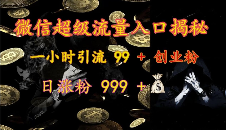 微信超级流量入口揭秘：一小时引流 99 + 创业粉，日涨粉 999 +-猫抓网赚