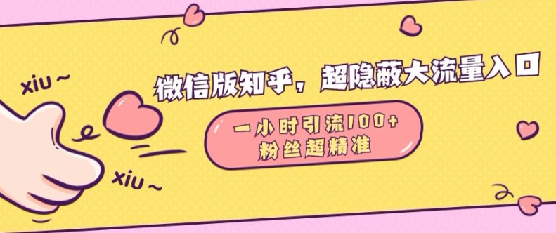 微信版知乎，超隐蔽流量入口1小时引流100人，粉丝质量超高【揭秘】-猫抓网赚