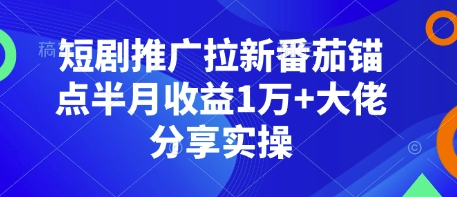 短剧推广拉新番茄锚点半月收益1万+大佬分享实操-猫抓网赚